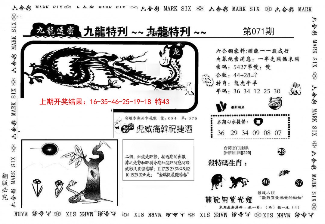2025071期九龙特新刊