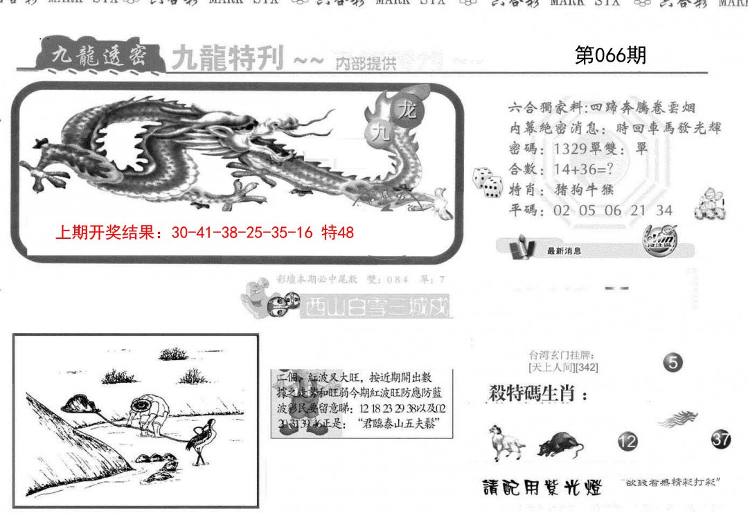 2025066期九龙特新刊