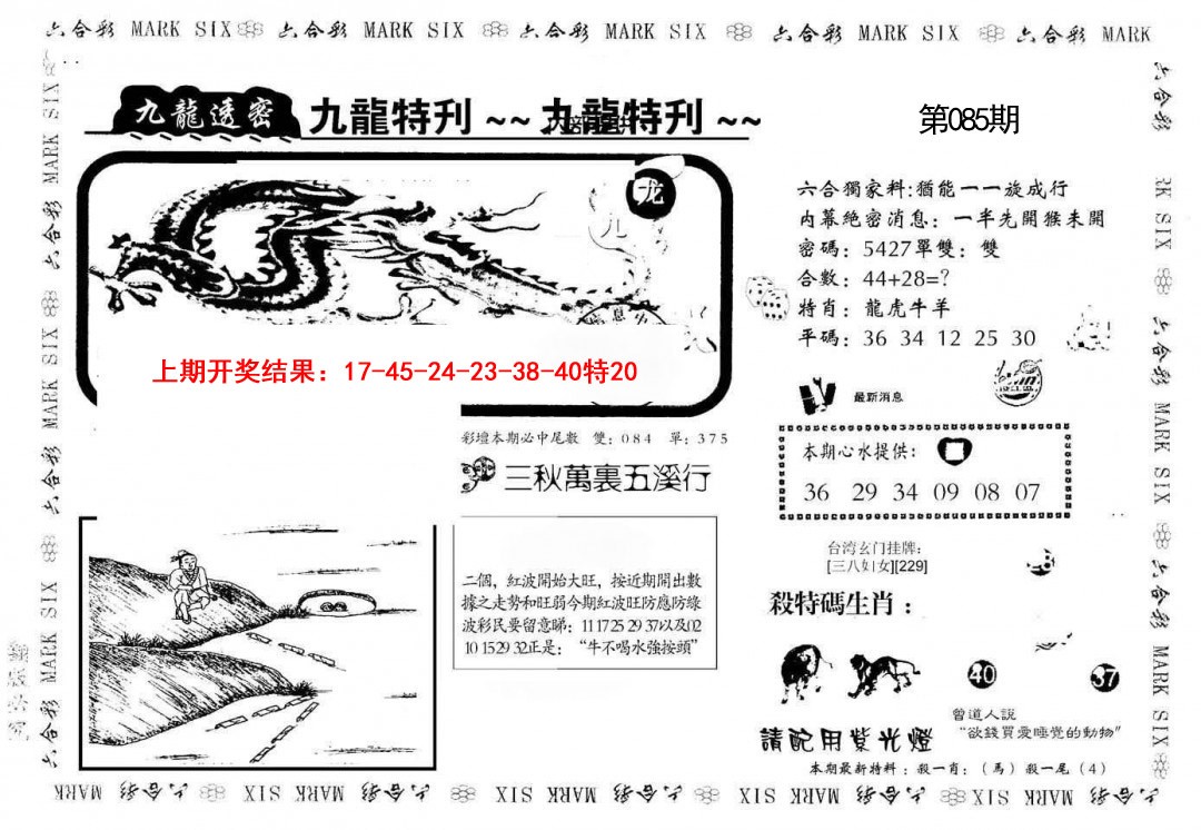 2025085期九龙特新刊