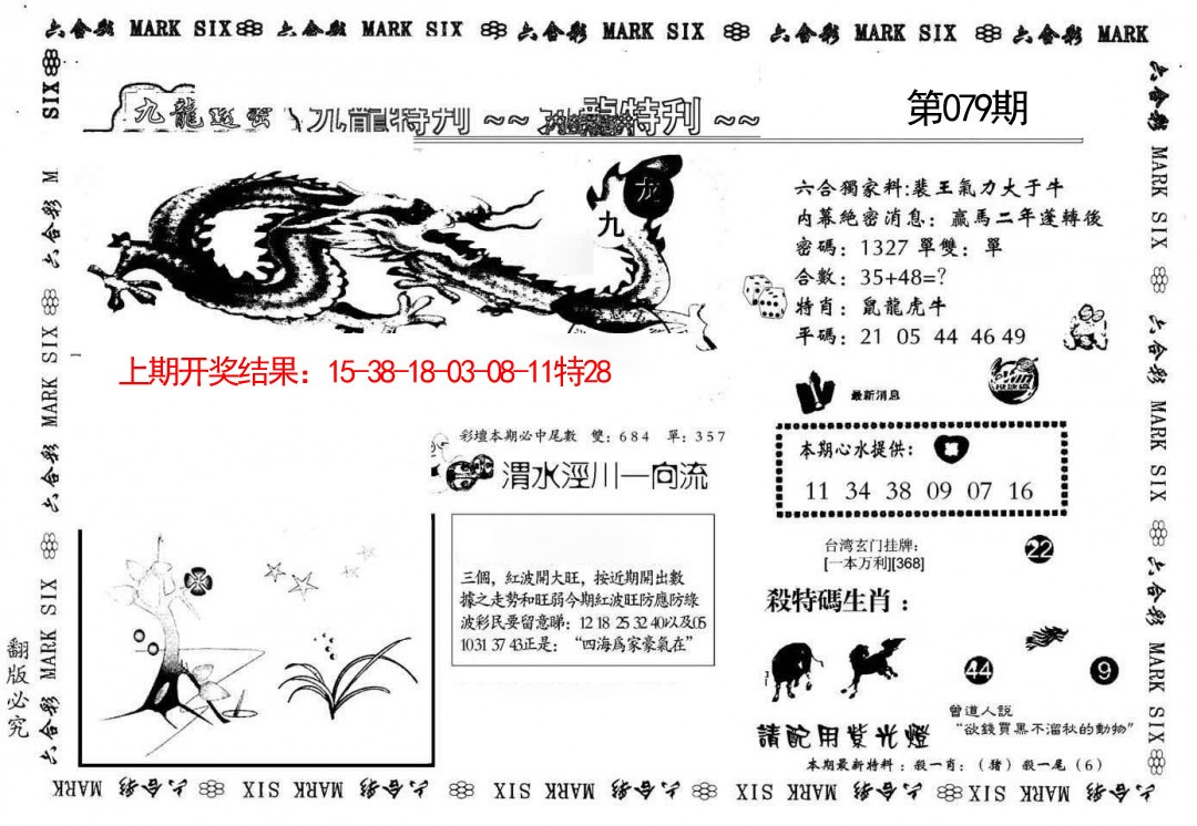 2025079期九龙特新刊