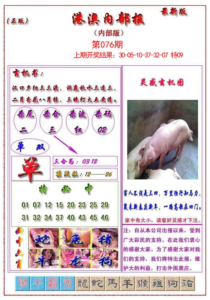 2025076期港澳报