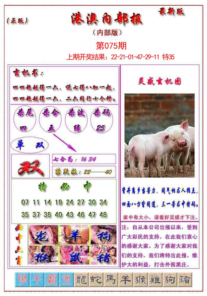 2025075期港澳报
