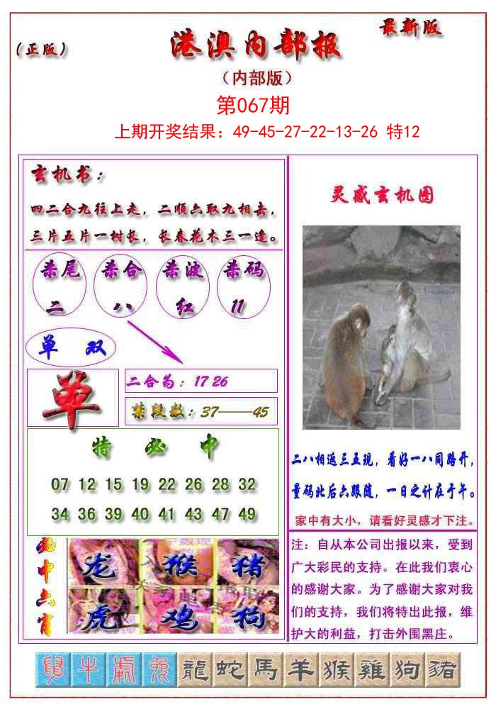 2025067期港澳报