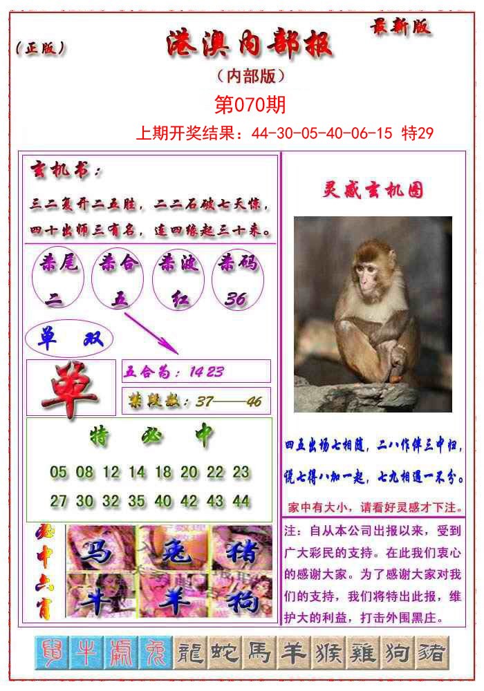 2025070期港澳报
