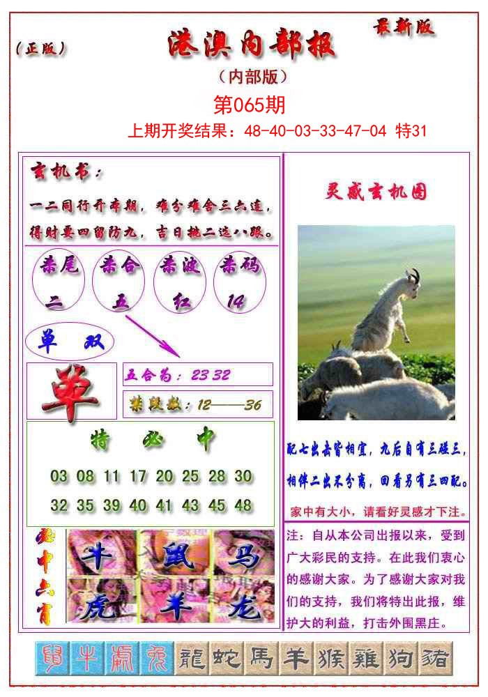 2025065期港澳报