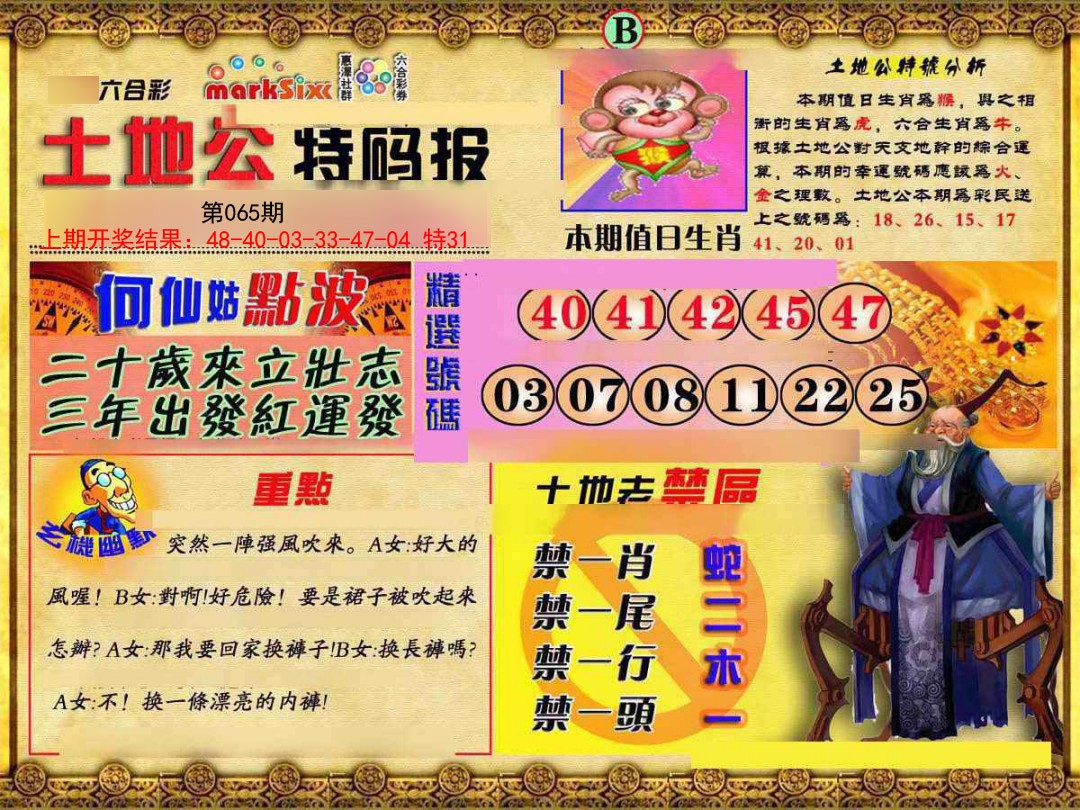 2025065期土地公特码报B