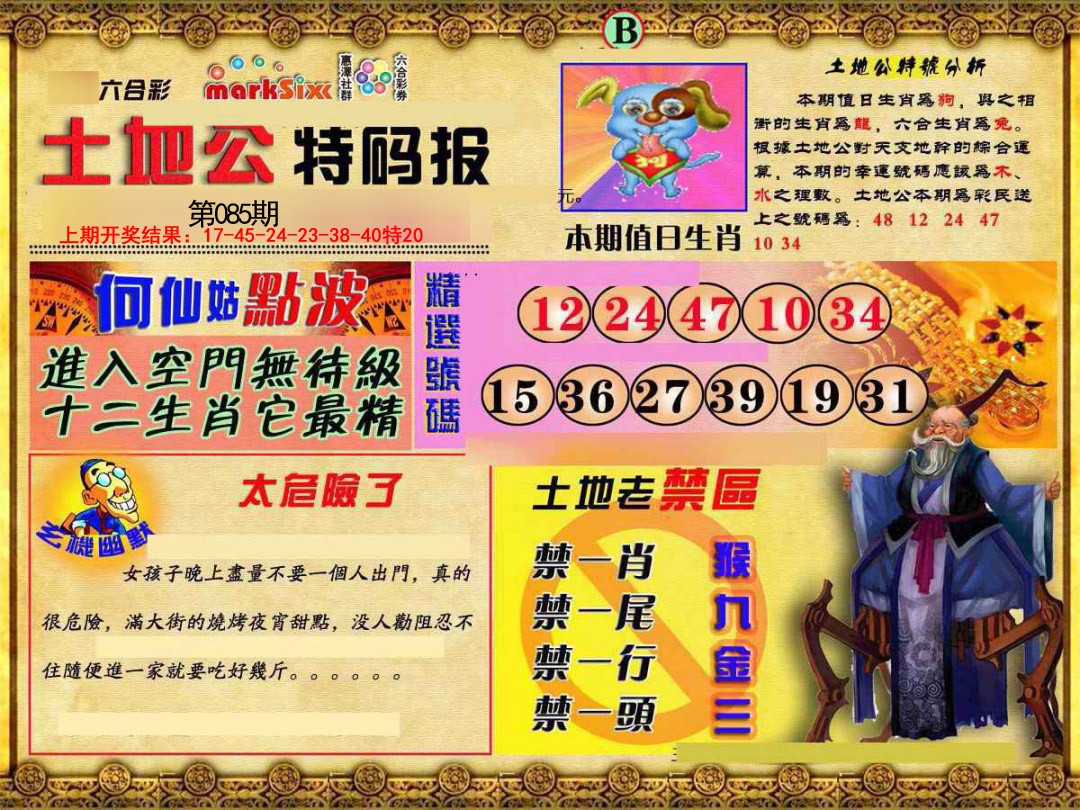 2025085期土地公特码报B
