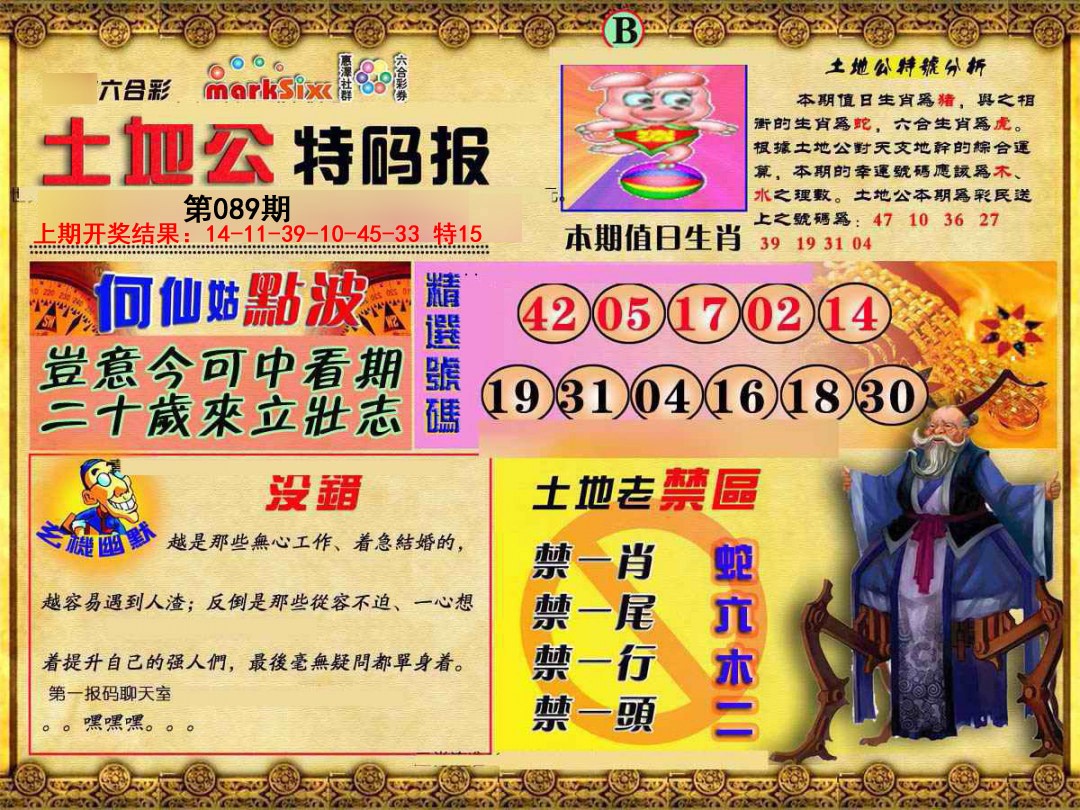 2025089期土地公特码报B