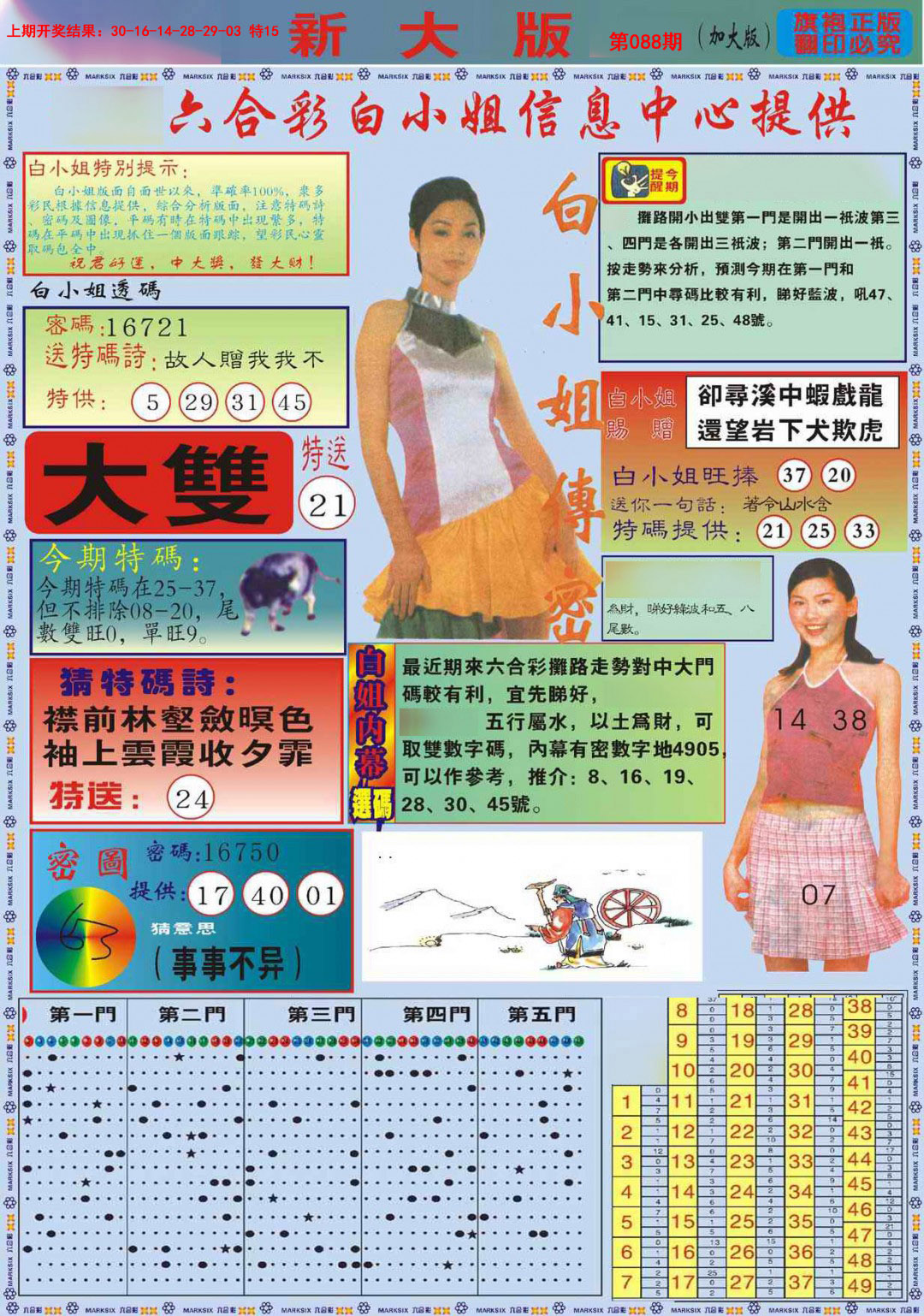 2025088期白小姐祺袍A加大版
