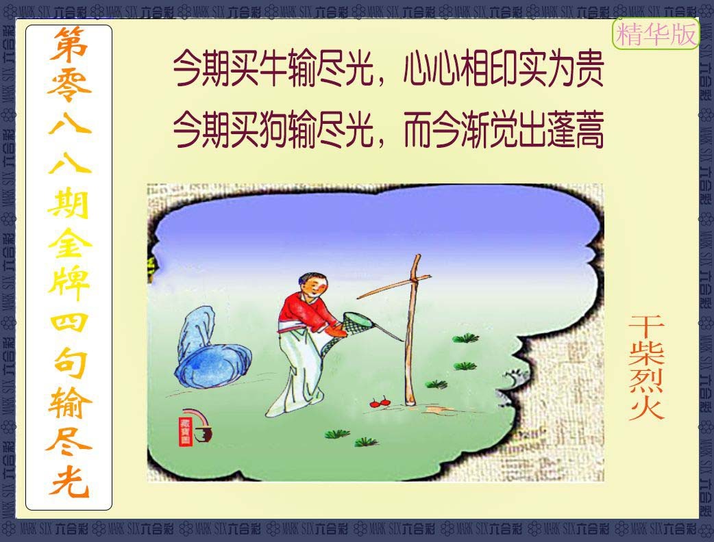 2025088期金牌四句输尽光