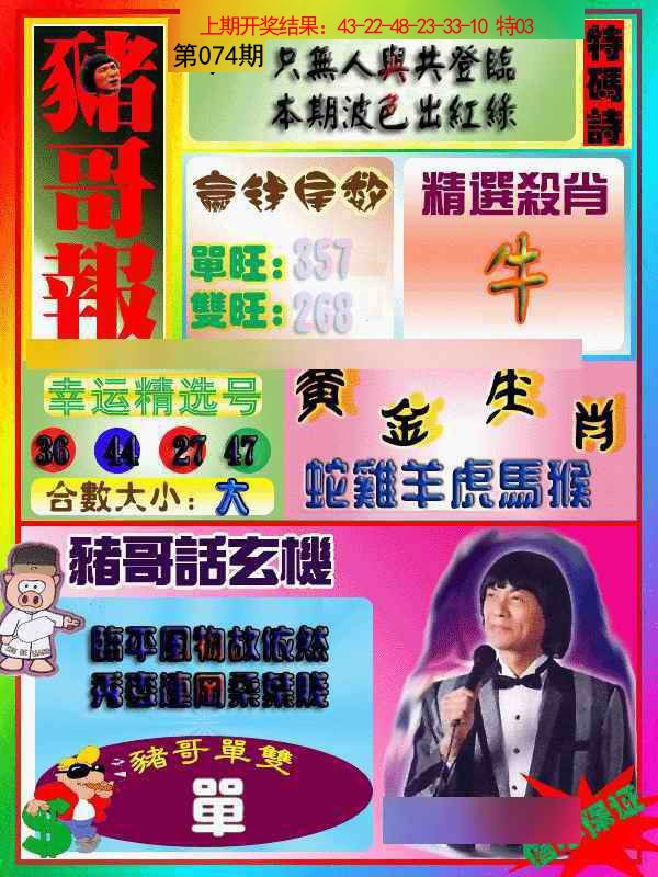 2025074期猪哥报