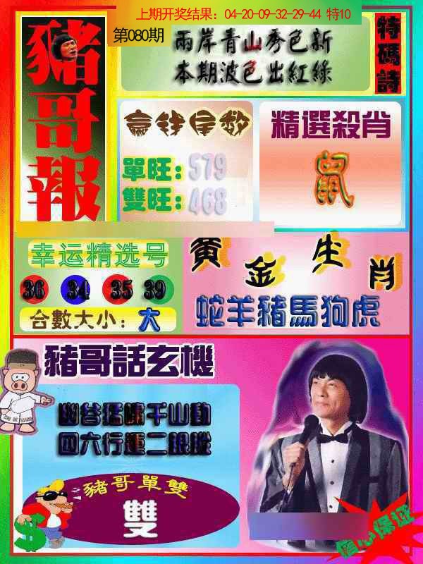 2025080期猪哥报