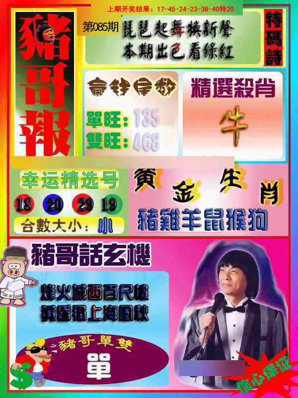 2025085期猪哥报