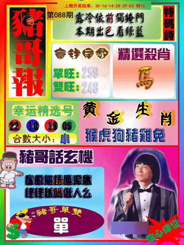2025088期猪哥报