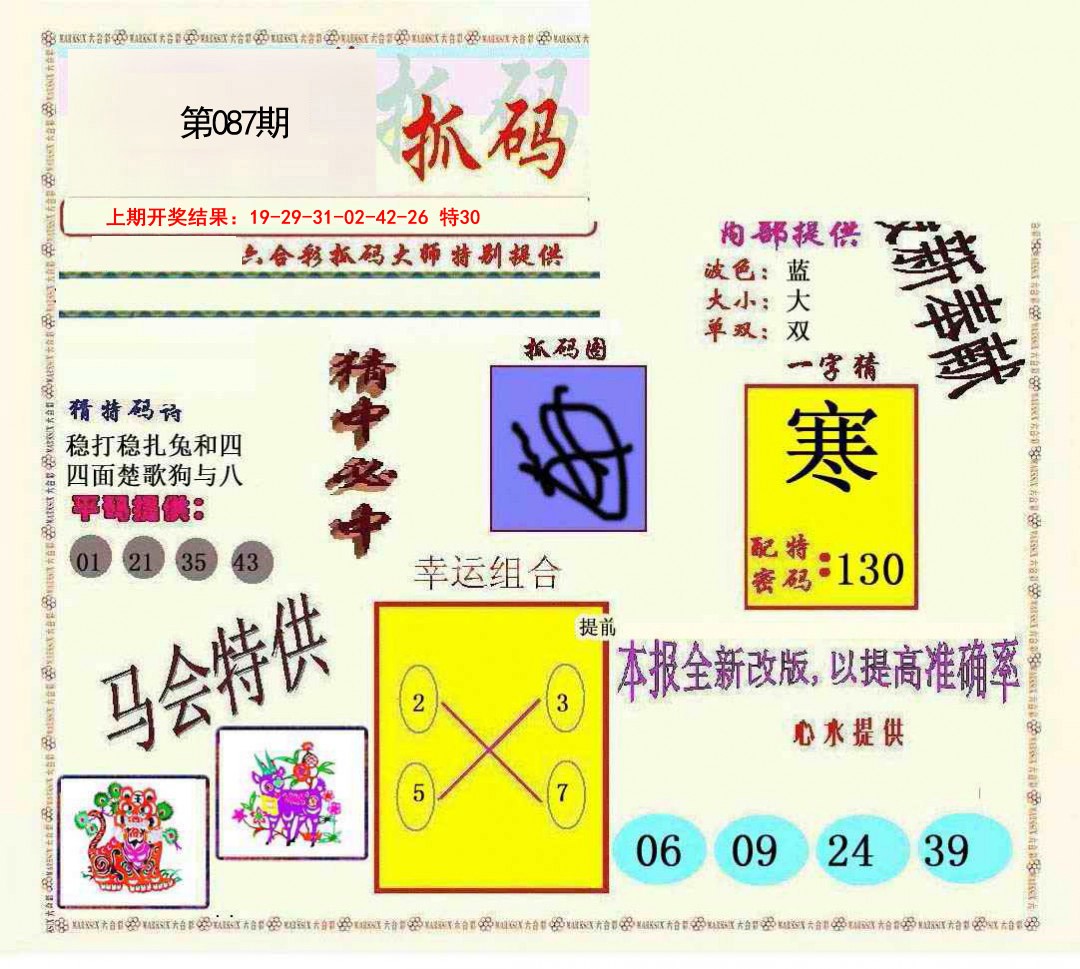 2025087期新抓码王