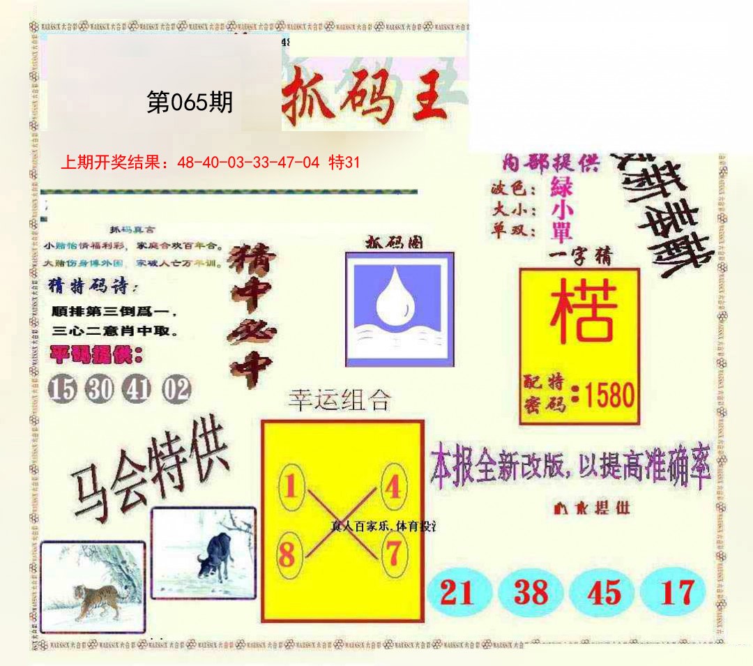 2025065期新抓码王
