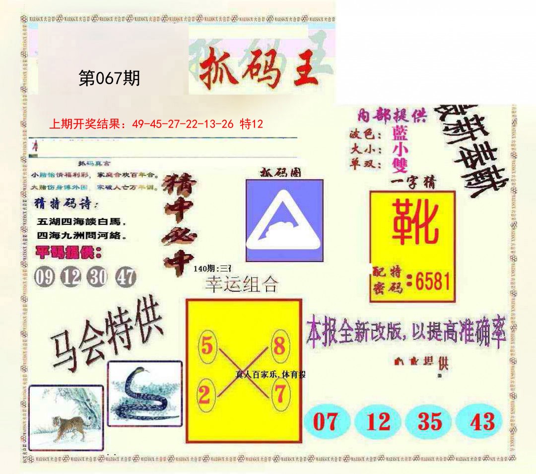 2025067期新抓码王