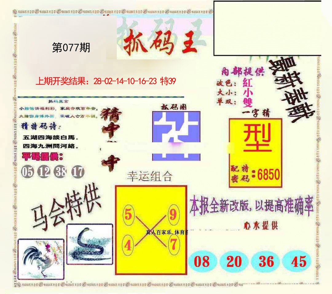 2025077期新抓码王