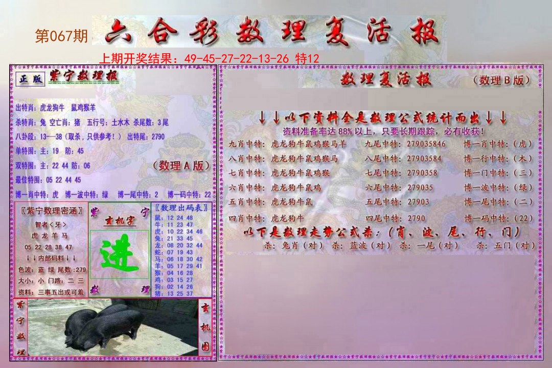 2025067期数理复活报