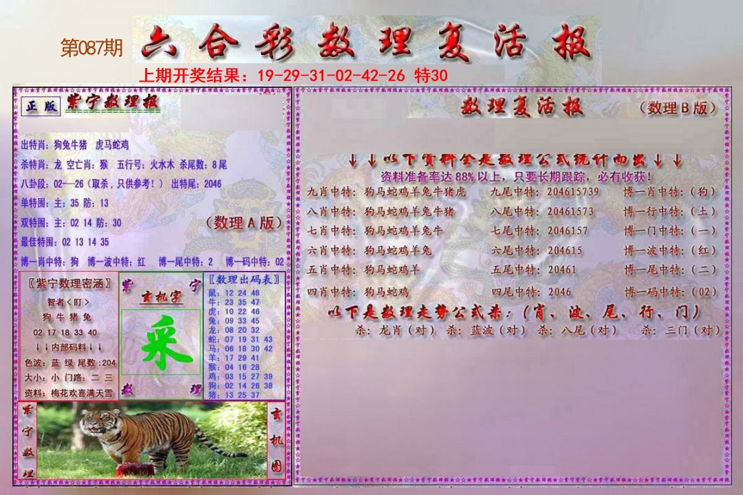 2025087期数理复活报