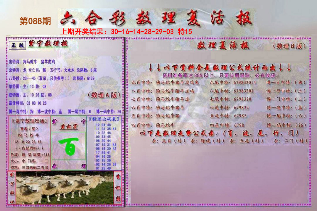 2025088期数理复活报