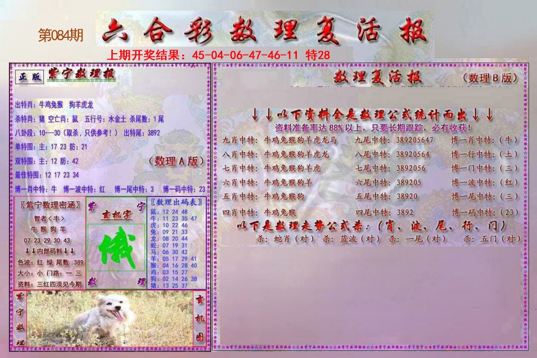 2025084期数理复活报