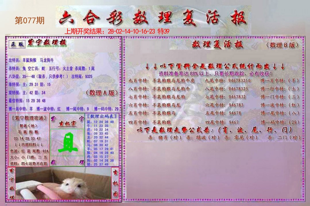 2025077期数理复活报
