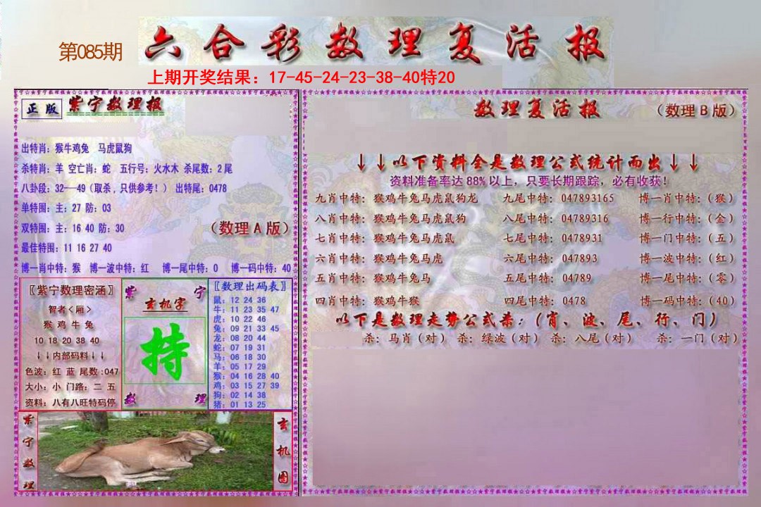 2025085期数理复活报