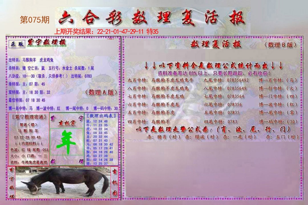 2025075期数理复活报