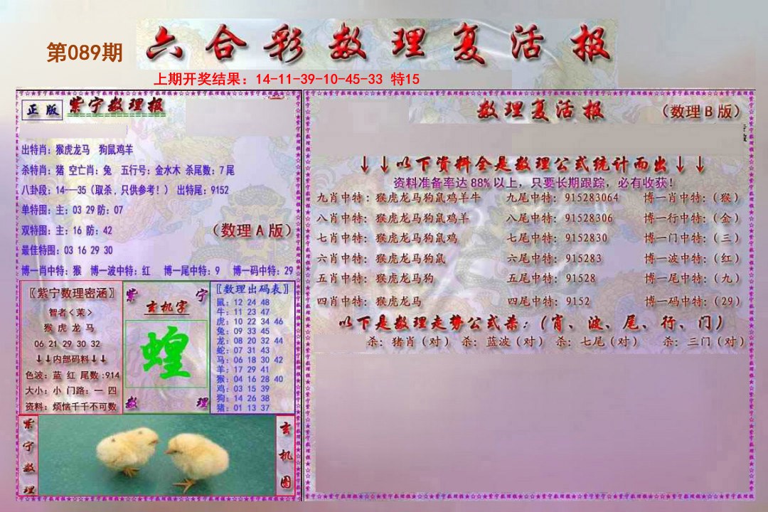 2025089期数理复活报