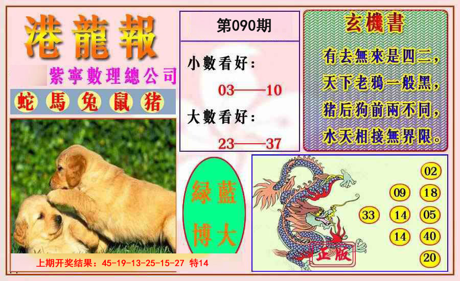 2025090期港龙报