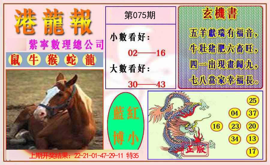 2025075期港龙报