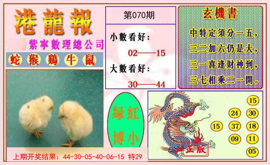 2025070期港龙报