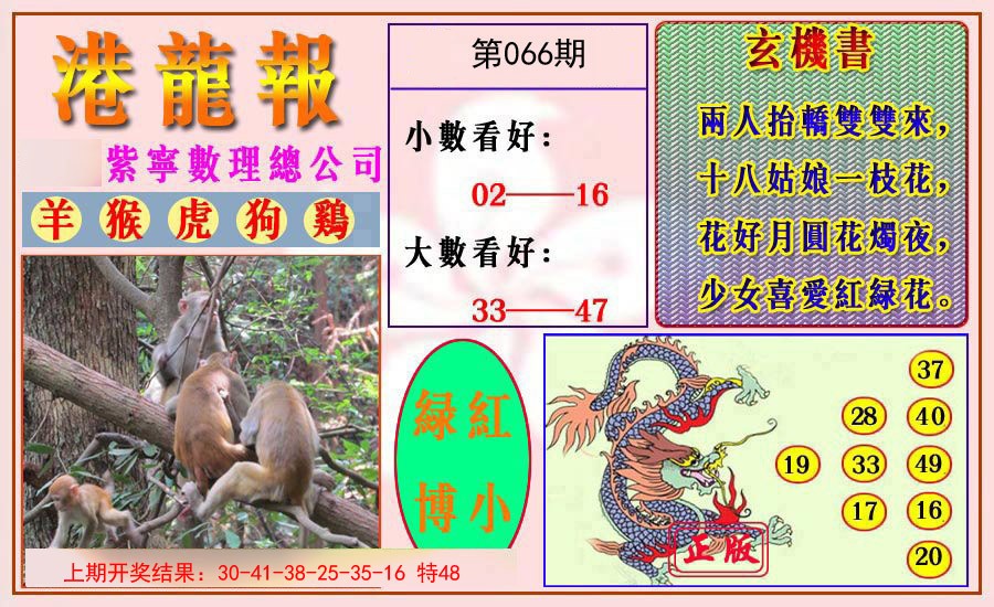 2025066期港龙报