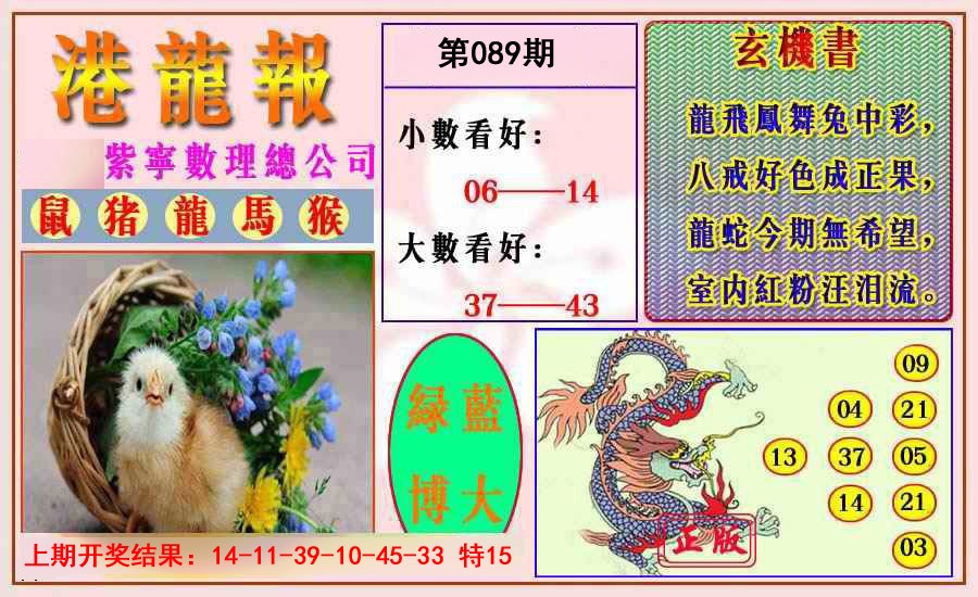 2025089期港龙报