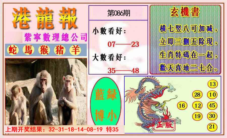 2025086期港龙报