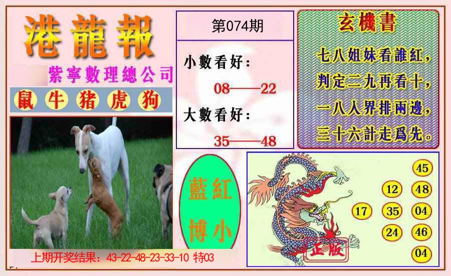 2025074期港龙报
