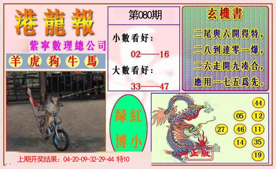 2025080期港龙报