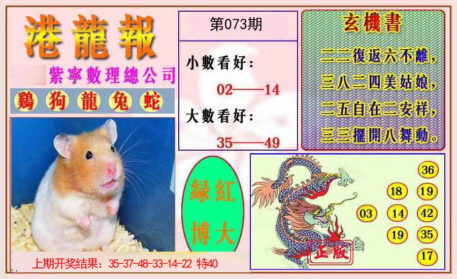 2025073期港龙报