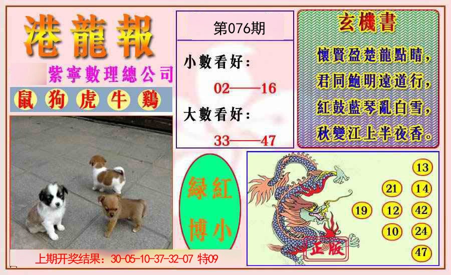 2025076期港龙报