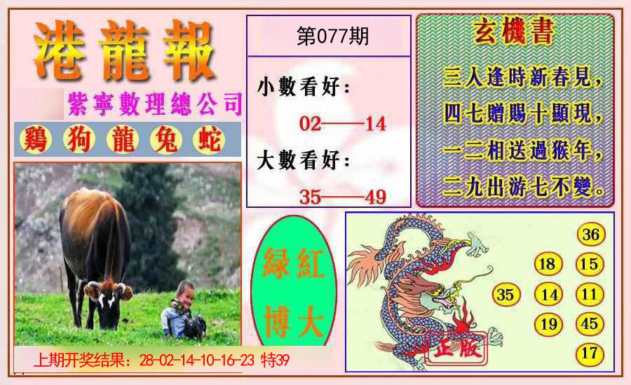 2025077期港龙报