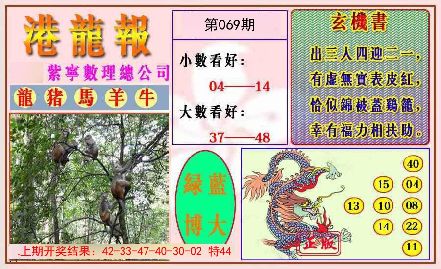2025069期港龙报