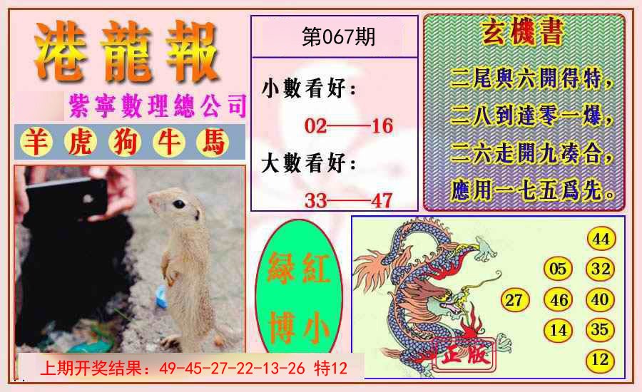 2025067期港龙报