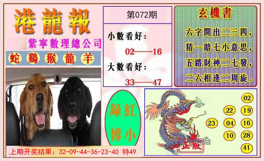 2025072期港龙报