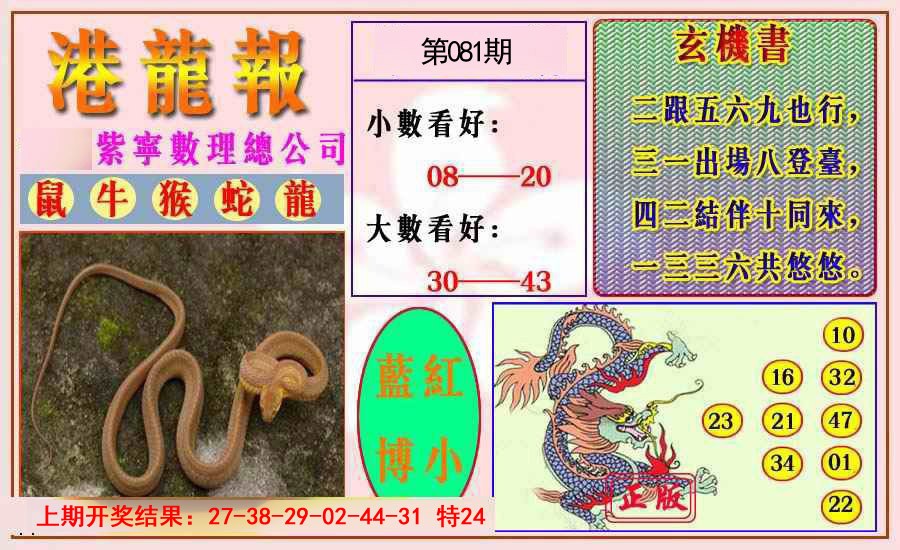 2025081期港龙报