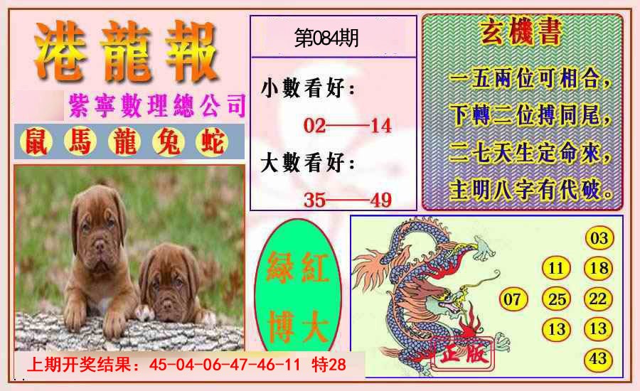 2025084期港龙报