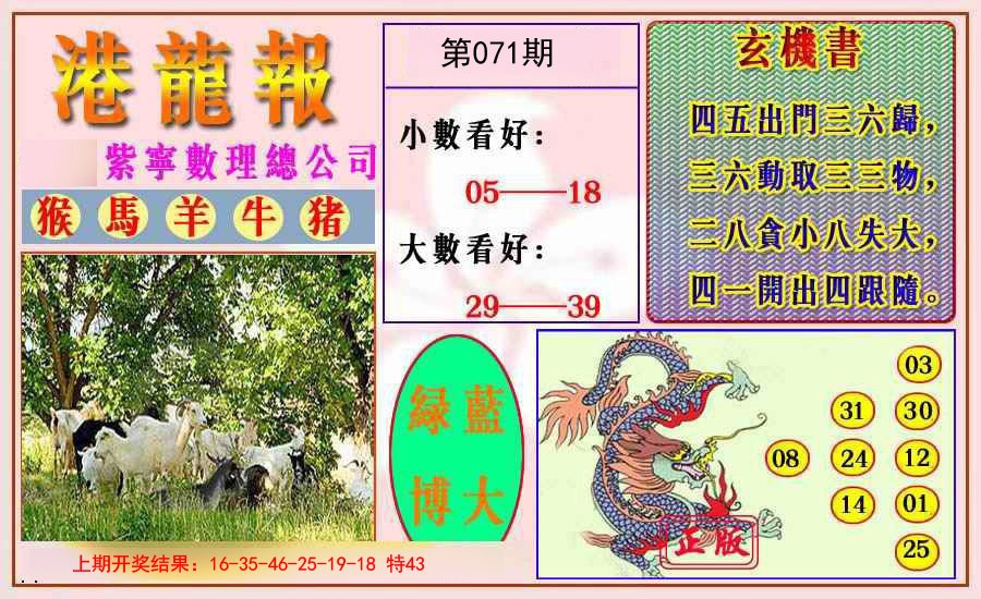 2025071期港龙报