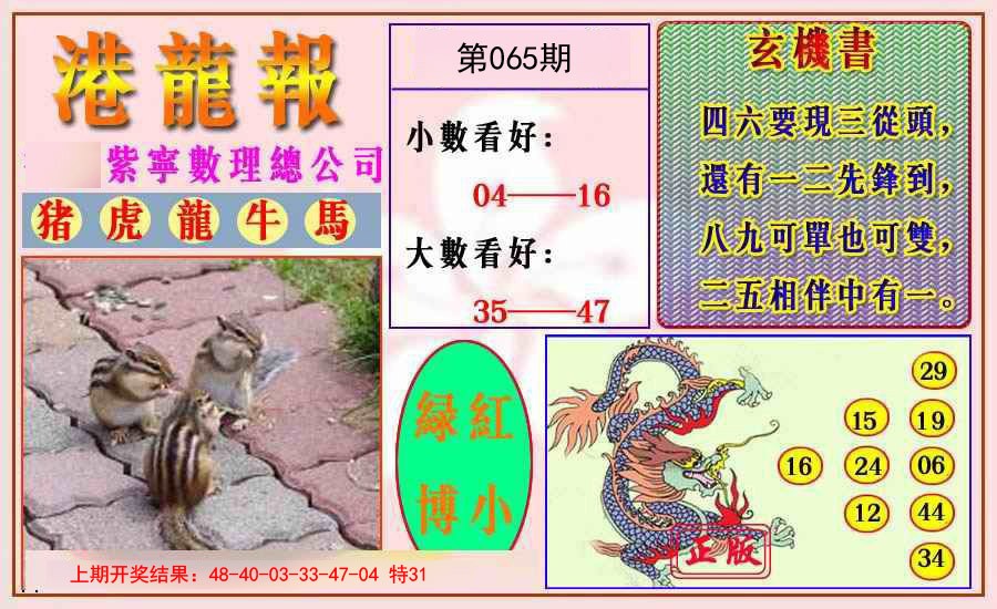2025065期港龙报