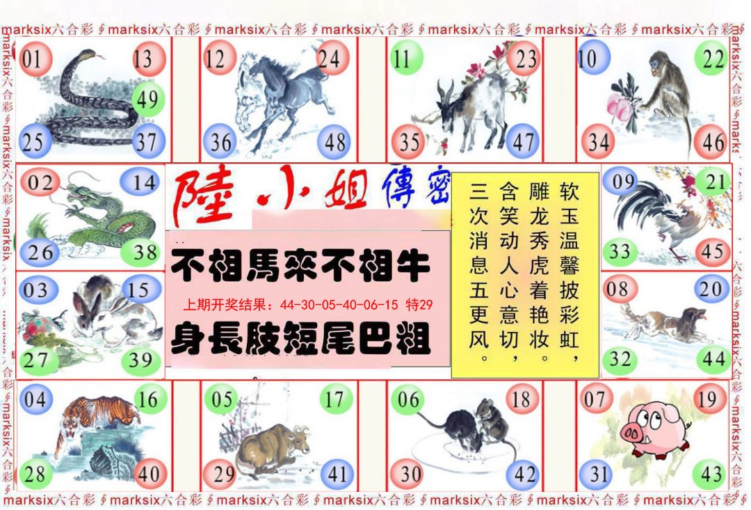 2025070期陆小姐传密B