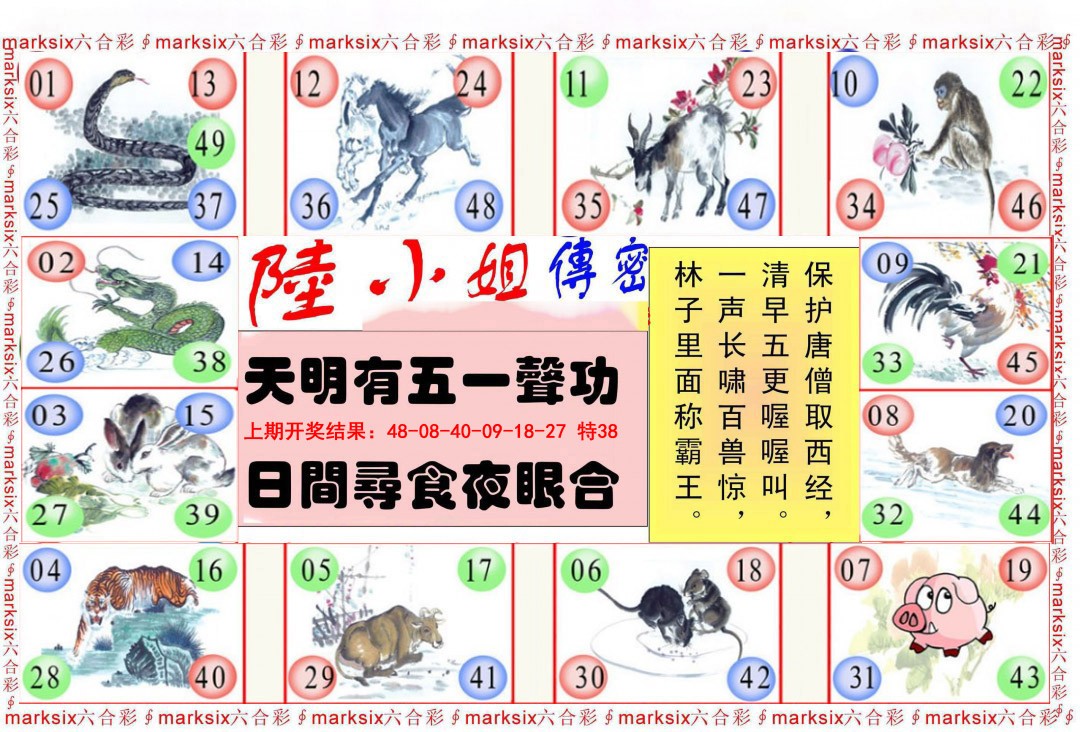 2025082期陆小姐传密B